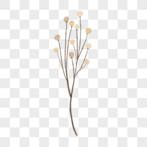树枝上的小花朵水彩风格婚礼米色棕色图片