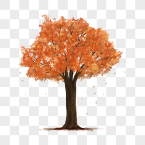 秋天的树木金黄色叶子插图图片