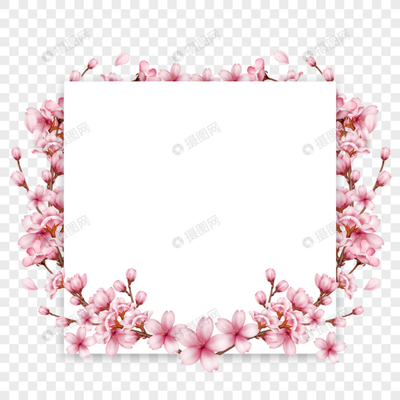 正方形树枝花苞春天樱花边框图片