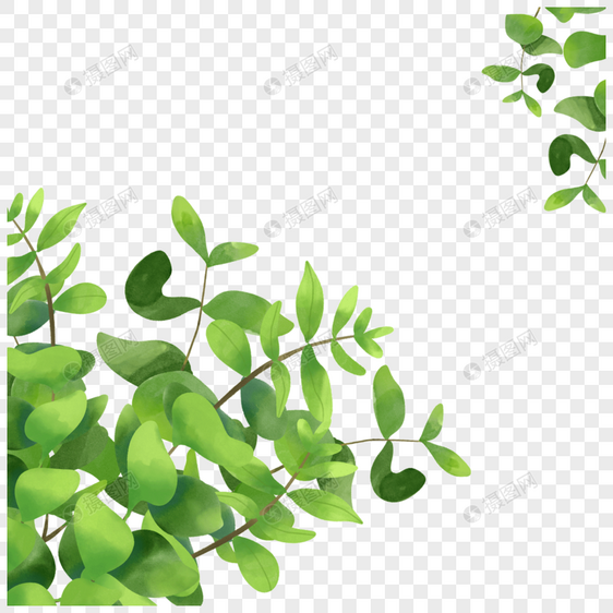 春天绿色植物背景水彩尤加利叶边框图片