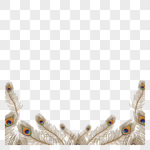 棕色孔雀羽毛边框图片