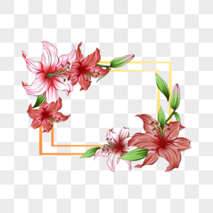 百合花花卉婚礼边框图片