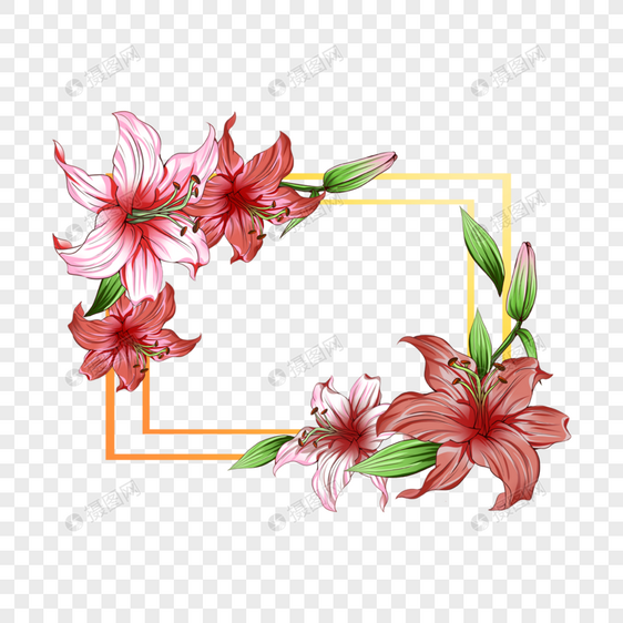 百合花花卉婚礼边框图片