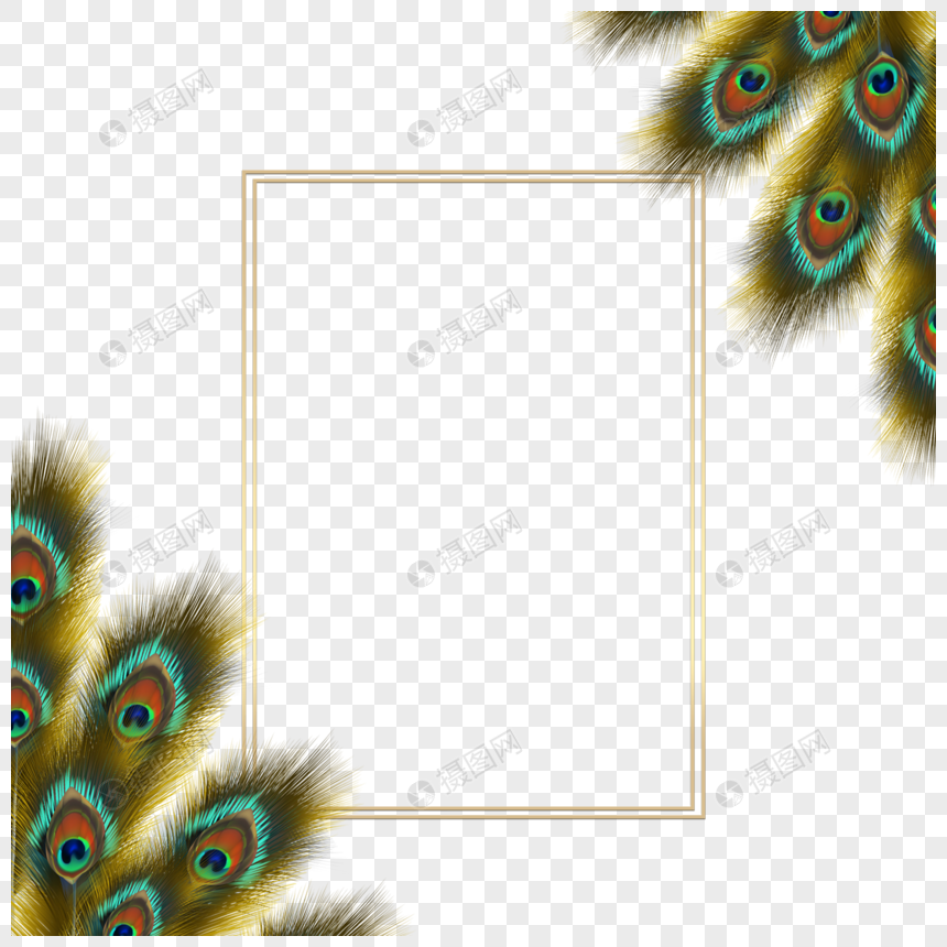 黄绿色孔雀羽毛边框图片