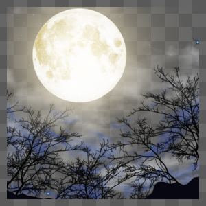 圆月照耀着树林图片
