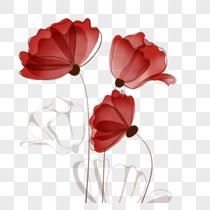 花卉抽象线稿红色玫瑰装饰图案图片