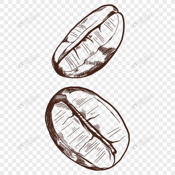 两颗深色线稿咖啡豆图片