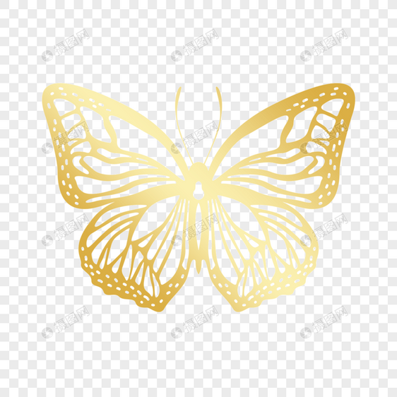 金色镂空对称线稿蝴蝶图片