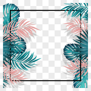 手绘夏天彩色棕榈叶正方形立体黑色边框图片