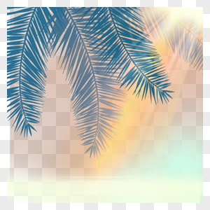 阳光穿透棕榈叶照射在海面上图片