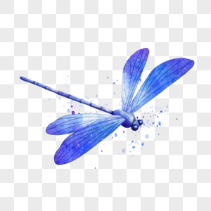 昆虫蜻蜓水彩风格蓝色图片
