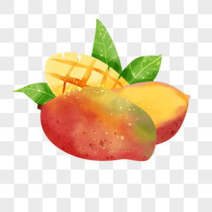 果实水彩芒果涂料热带水果图片