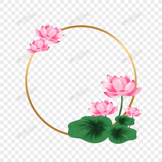 圆形粉色水彩荷花花卉图片