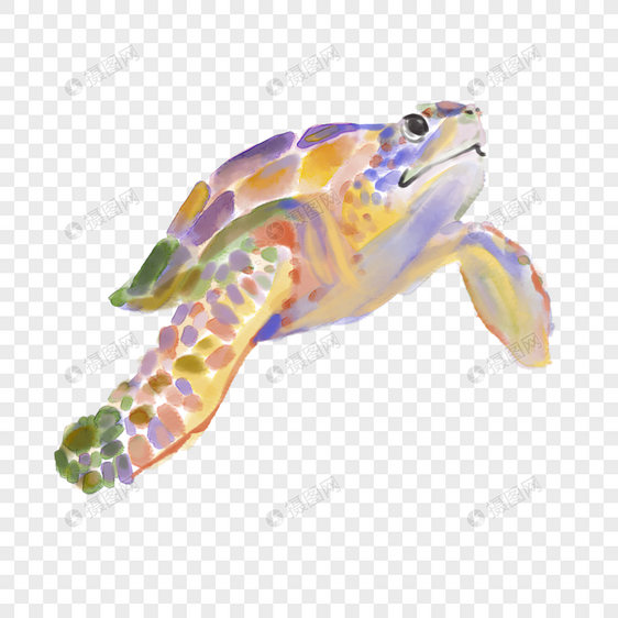 海龟海洋生物水彩图片