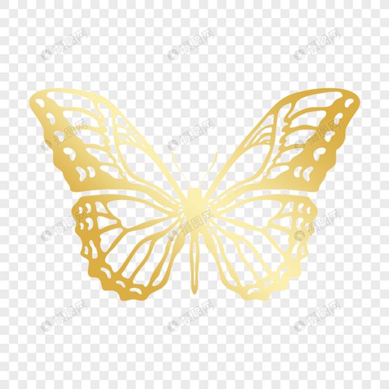 不规则镂空金色线稿蝴蝶图片