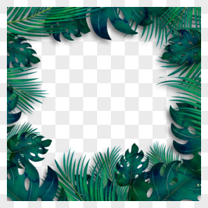 夏季热带植物绿色树叶边框图片