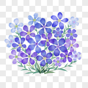 一簇紫色的水彩花卉图片