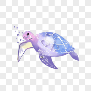 乌龟紫色水彩动物图片