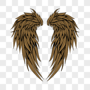 金色羽翼羽毛天使羽翼羽毛图片素材