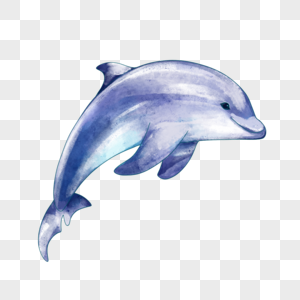 伸手灵活的水彩海豚图片