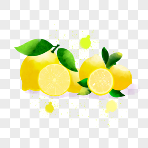 美丽的夏季水果水彩柠檬图片