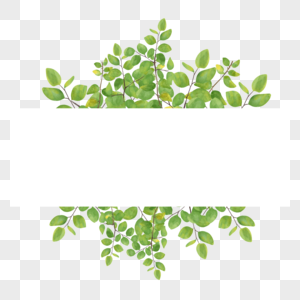 水彩尤加利叶绿色叶子婚礼边框图片