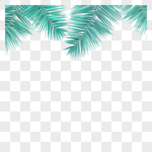 青绿色的椰子树叶图片