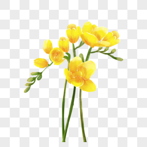 苍兰黄色婚礼花卉水彩图片