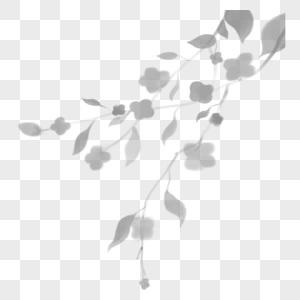 花卉阴影叠加垂钓枝叶图片