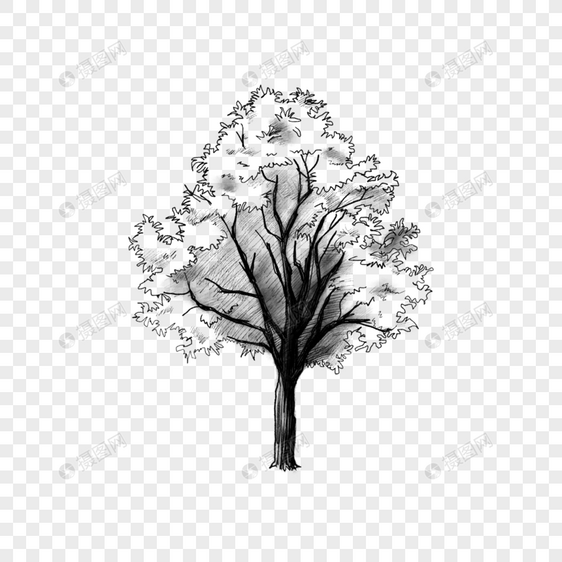简约素描树木观影图片