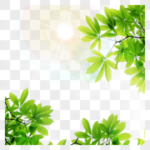夏天绿色热带光效边框图片