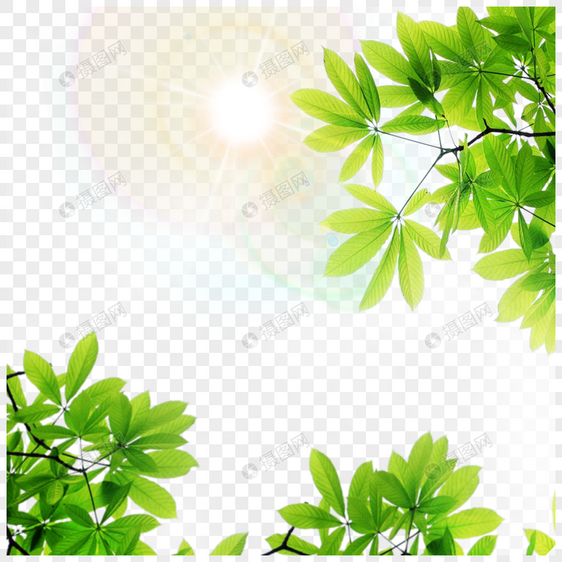 夏天绿色热带光效边框图片