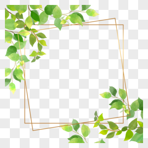 绿色枝叶树叶正方形金箔叶子边框图片