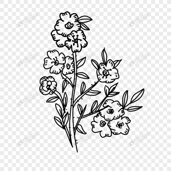 小花朵简约黑白线条画花卉图片
