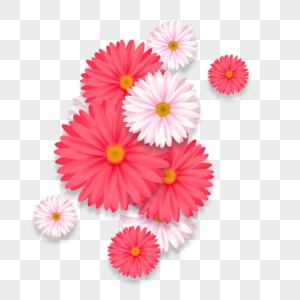 粉色清新小雏菊元素图片