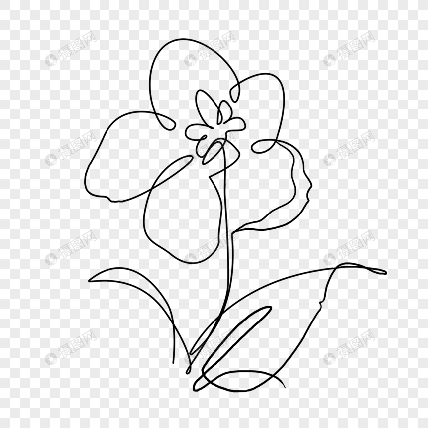 茉莉花轮廓抽象线条画