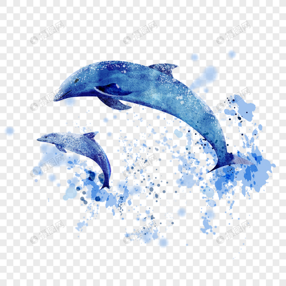 水彩两只蓝色跳跃海豚图片