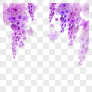 紫罗兰花水彩花卉图片