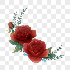 红色水彩玫瑰装饰图片