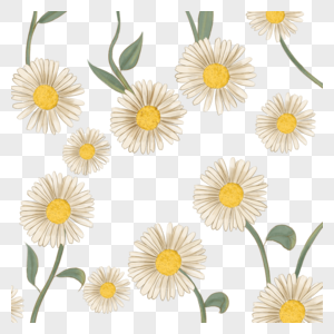 多个雏菊花朵组合高清图片