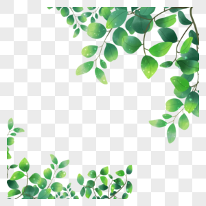 绿色春天水彩尤加利叶边框图片