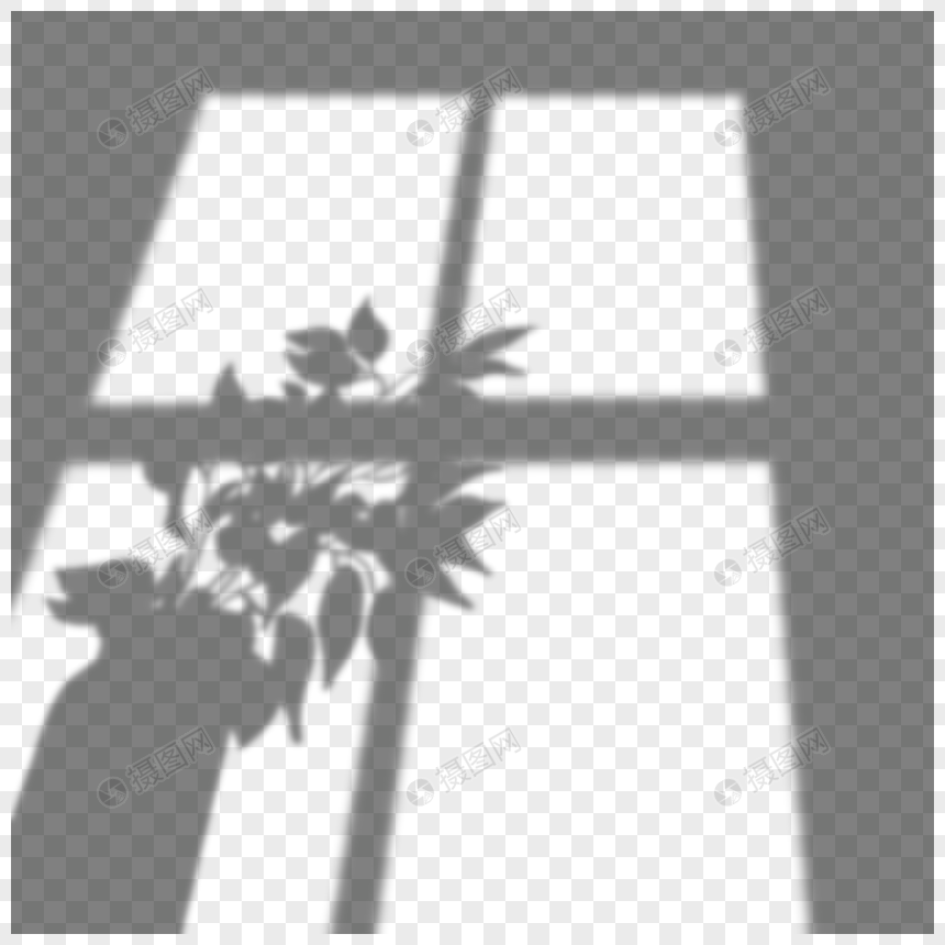 黑白花瓶树叶窗口叠加阴影图片