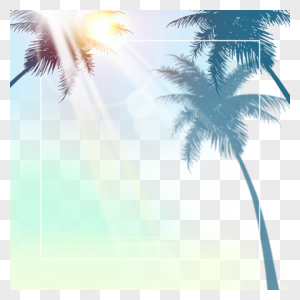 夏日阳光椰树光线边框图片