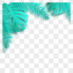 青蓝色的龟背竹和椰子叶图片