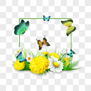 春季蝴蝶植物花卉边框图片