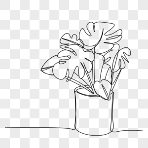 简约线条画植物龟背竹盆栽图片