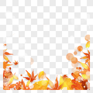 秋季光效树叶边框美丽图片