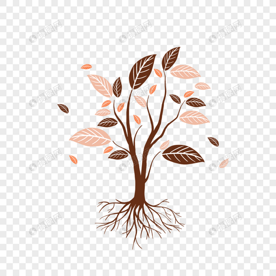 抽象树木树根树叶植物咖色图片