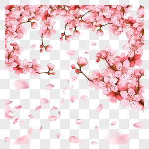 春季粉色樱花花瓣光效飘落图片