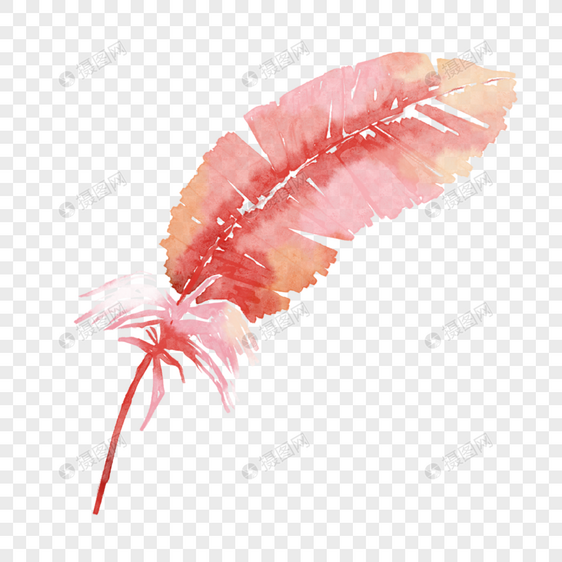 粉色水彩羽毛图片